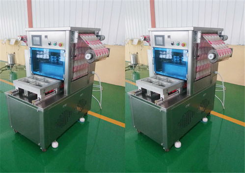 雞產(chǎn)品真空封口機(jī)設(shè)備——諸城市廣元機(jī)械專(zhuān)業(yè)解決方案